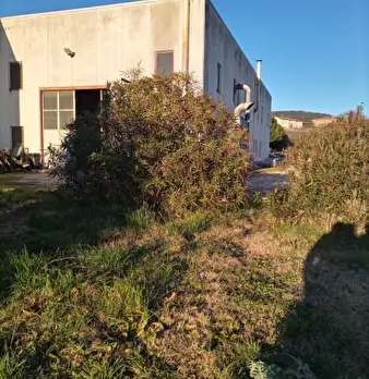 Foto annuncio 3