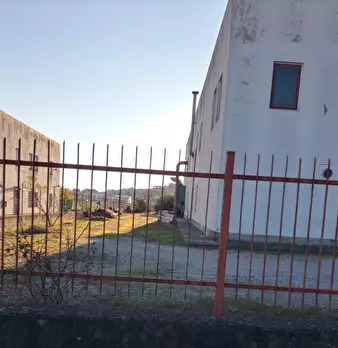 Foto annuncio 4