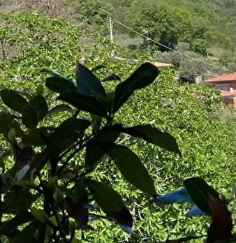 Foto annuncio 18