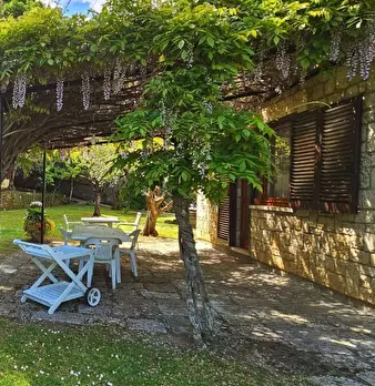 Foto annuncio 23