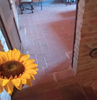Foto annuncio 18