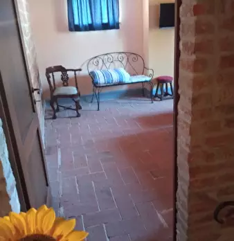 Foto annuncio 21