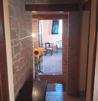 Foto annuncio 8