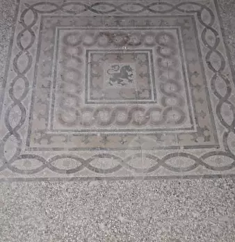 Foto annuncio 10