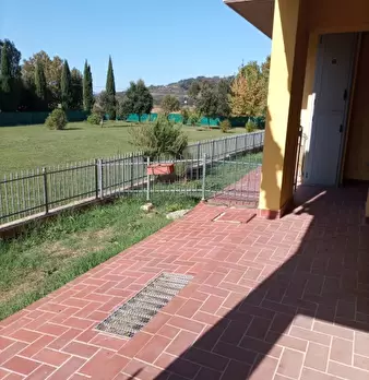 Foto annuncio 12