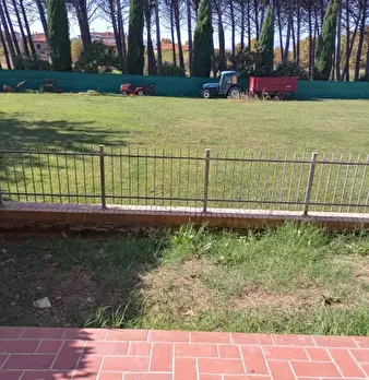Foto annuncio 17