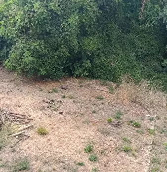 Foto annuncio 4