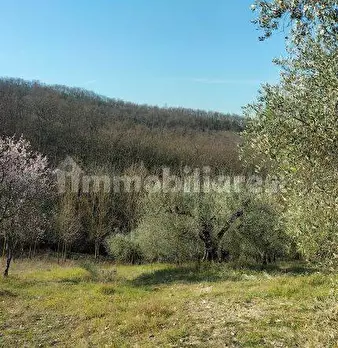 Foto annuncio 4