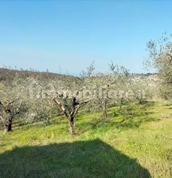 Foto annuncio 7