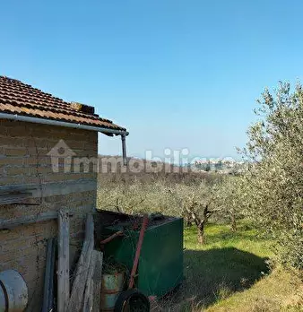 Foto annuncio 8