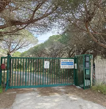 Foto annuncio 7