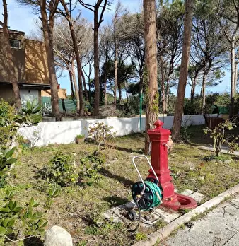 Foto annuncio 5