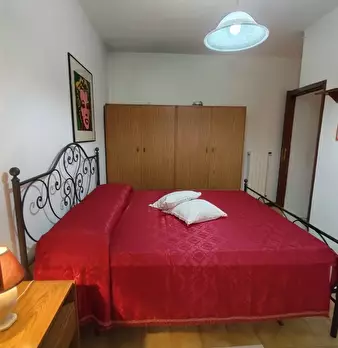 Foto annuncio 12