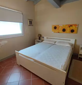 Foto annuncio 16