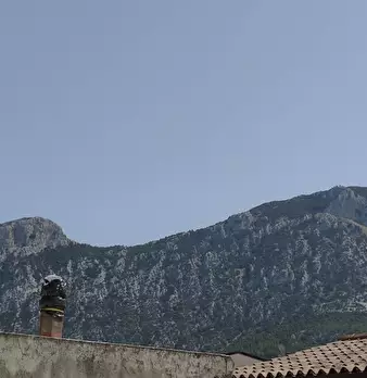 Foto annuncio 27