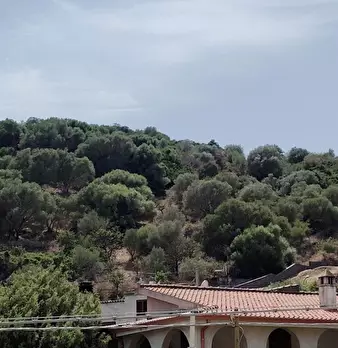 Foto annuncio 24