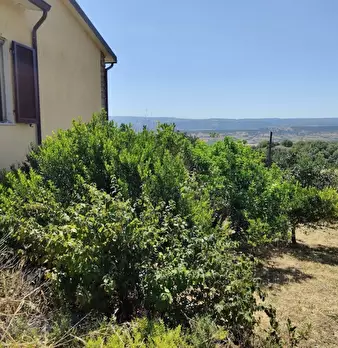Foto annuncio 20