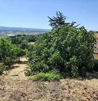 Foto annuncio 24