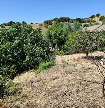 Foto annuncio 25