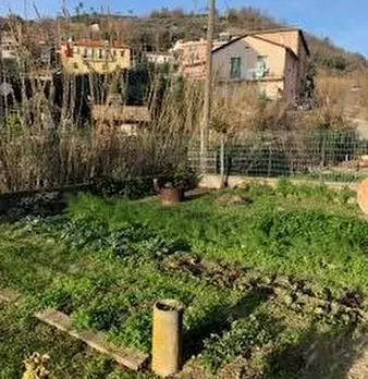 Foto annuncio 21