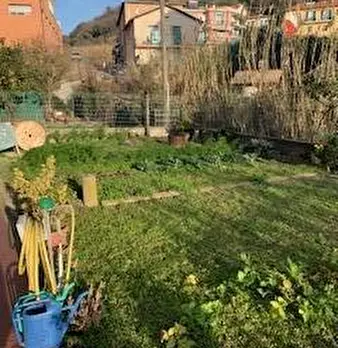 Foto annuncio 22
