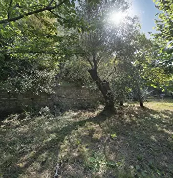 Foto annuncio 8