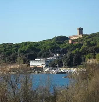 Foto annuncio 9