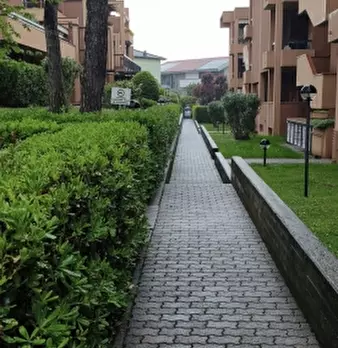 Foto annuncio 30