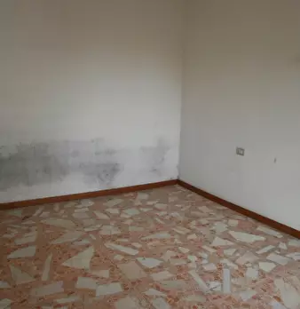 Foto annuncio 16