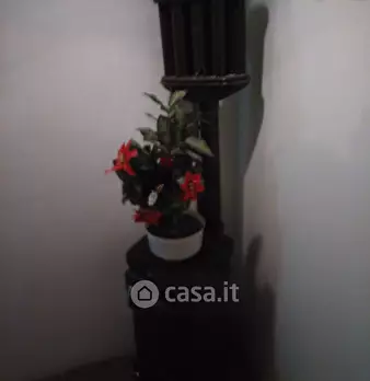 Foto annuncio 16
