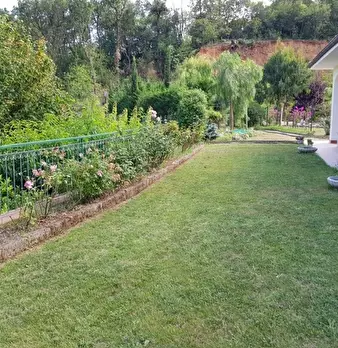 Foto annuncio 29