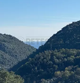 Foto annuncio 23