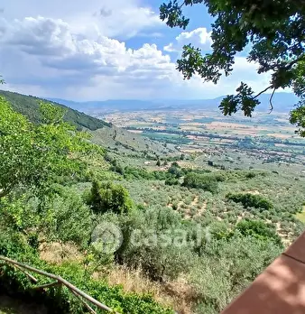 Foto annuncio 15