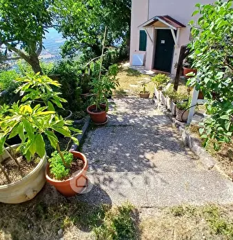 Foto annuncio 29