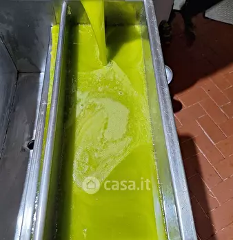 Foto annuncio 11