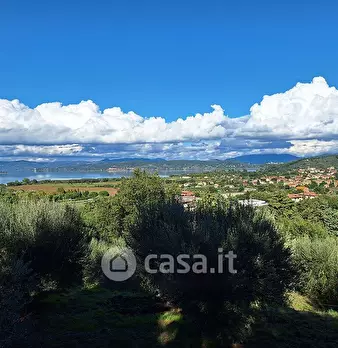 Foto annuncio 14