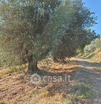Foto annuncio 15