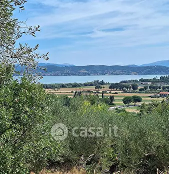 Foto annuncio 16