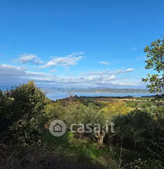 Foto annuncio 17