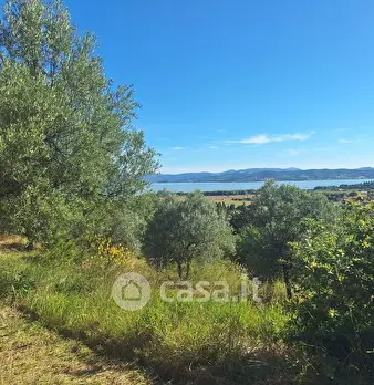 Foto annuncio 18
