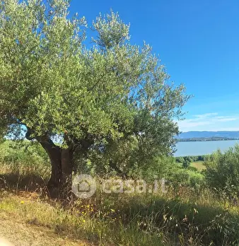Foto annuncio 19