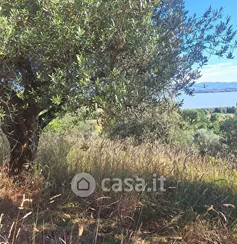 Foto annuncio 21