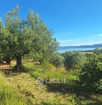 Foto annuncio 8