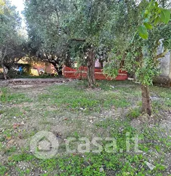 Foto annuncio 10
