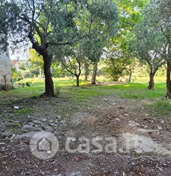 Foto annuncio 19