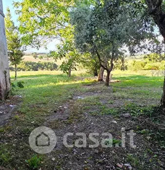 Foto annuncio 20