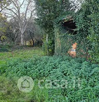 Foto annuncio 7