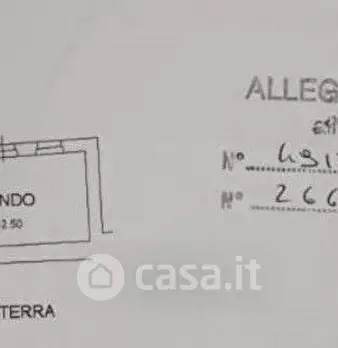Foto annuncio 24