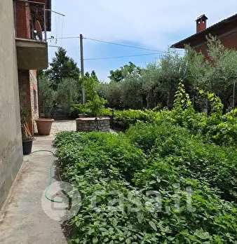 Foto annuncio 30