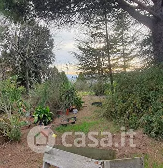 Foto annuncio 12